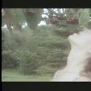 少女情怀总是诗剧照