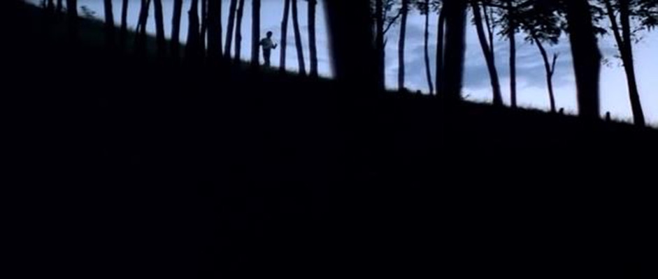 将爱放逐剧照的剧照