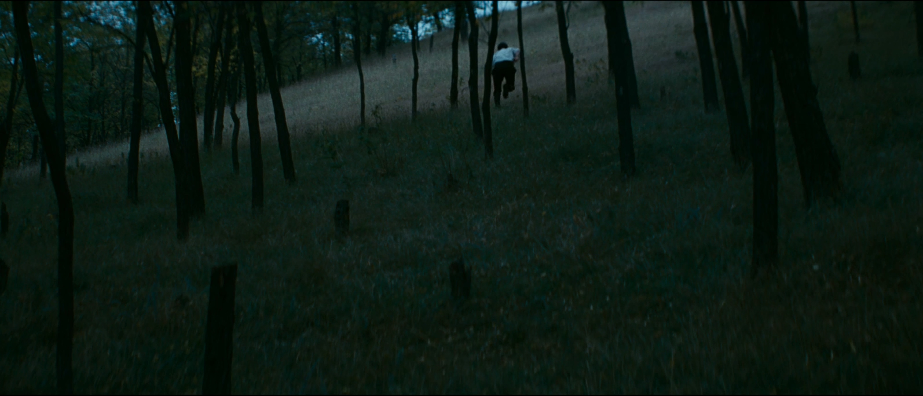 将爱放逐剧照的剧照