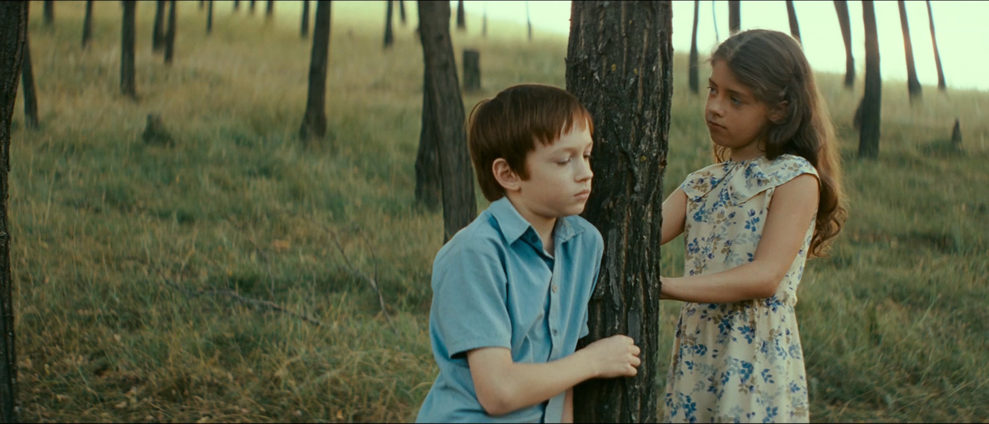 将爱放逐剧照的剧照