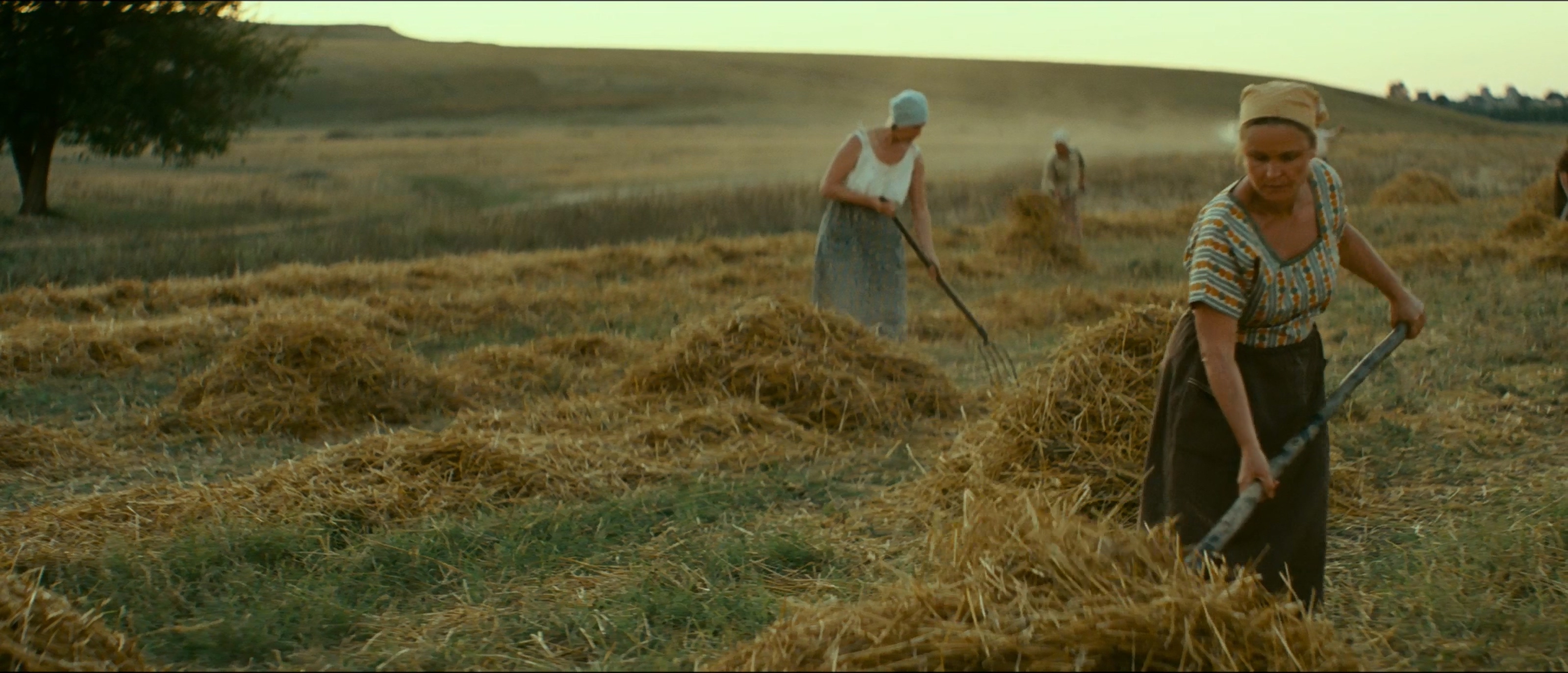 将爱放逐剧照的剧照