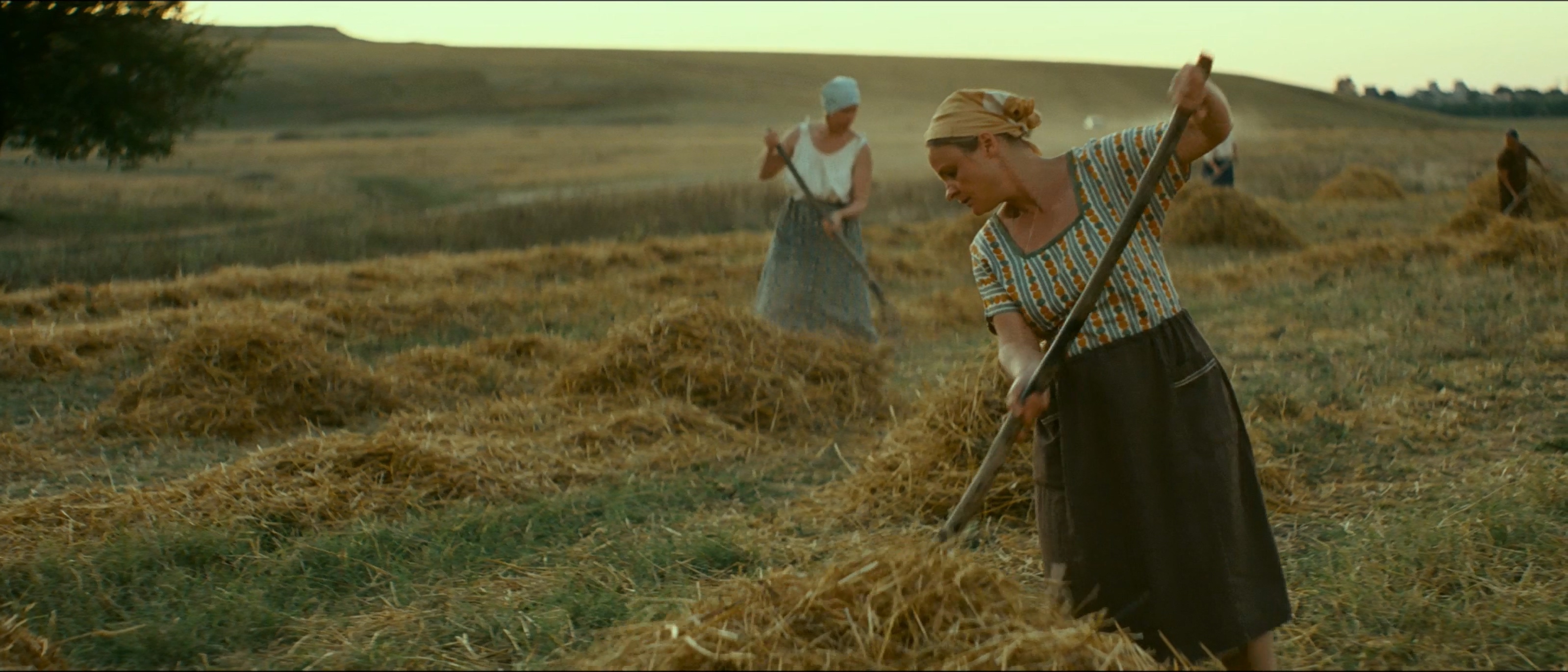 将爱放逐剧照的剧照