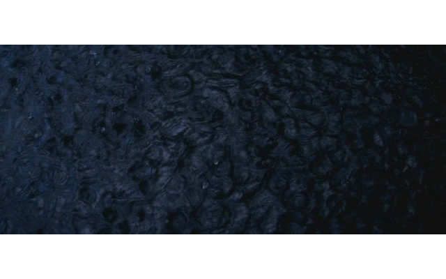 将爱放逐剧照的剧照