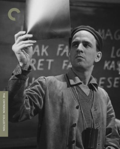 电影是我的情妇剧照的剧照