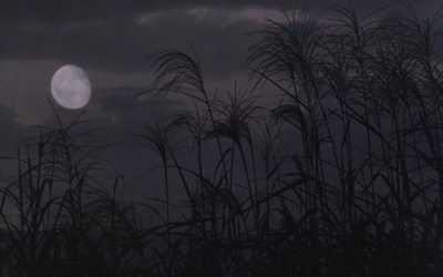 孤苦盲女阿玲剧照的剧照