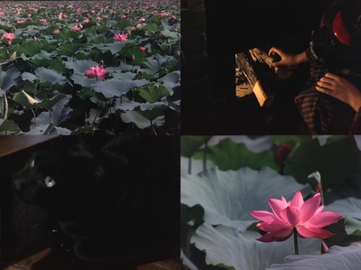 孤苦盲女阿玲剧照的剧照