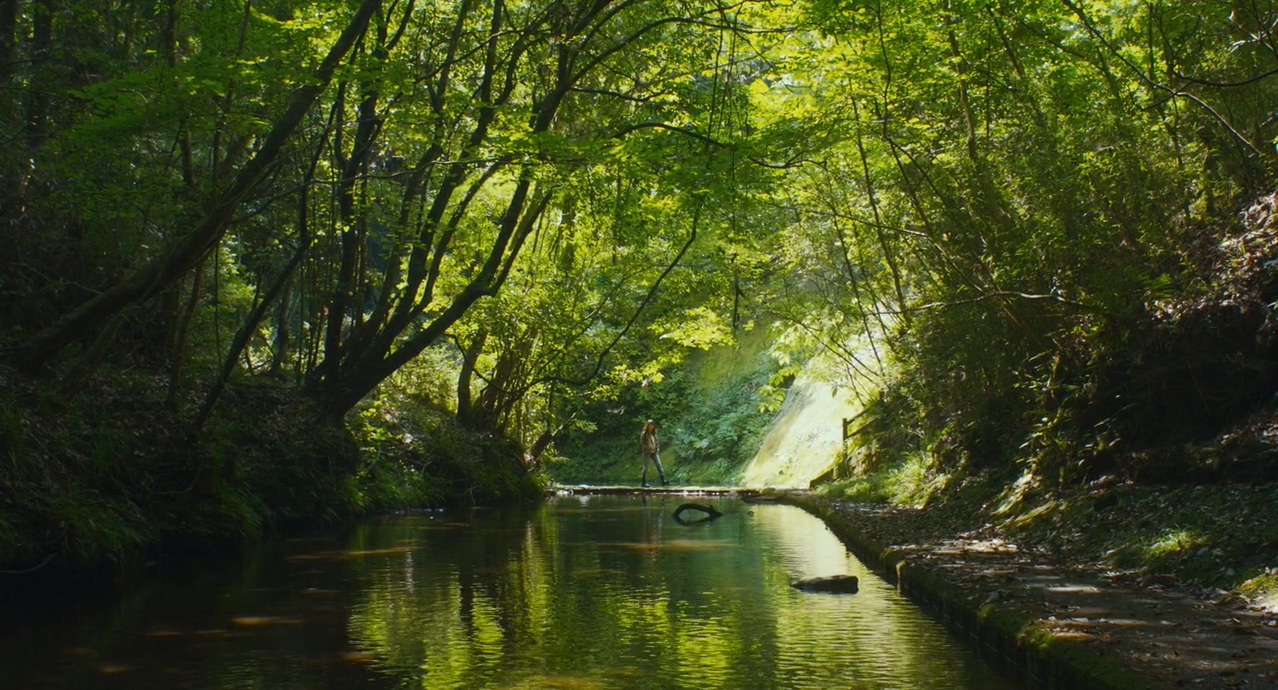 夏美的萤火虫剧照的剧照