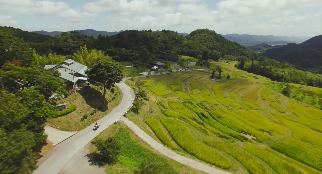 夏美的萤火虫剧照的剧照
