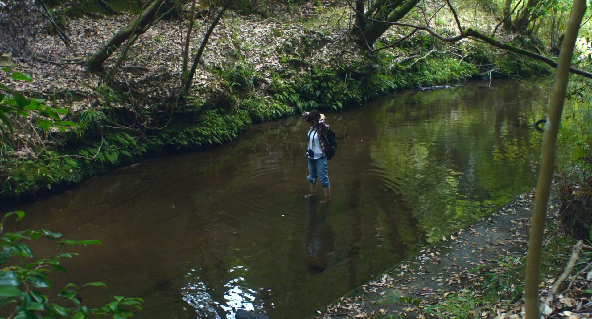 夏美的萤火虫剧照的剧照