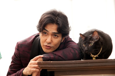 猫侍 前往南之岛剧照的剧照