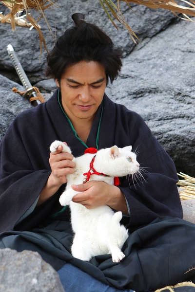 猫侍 前往南之岛剧照的剧照