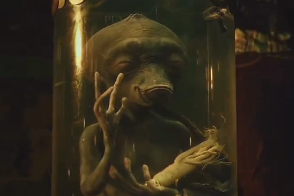 疯狂的外星人剧照的剧照