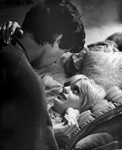 仙人掌花剧照的剧照