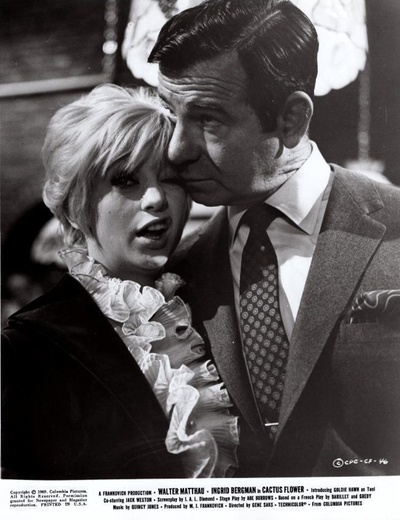 仙人掌花剧照的剧照