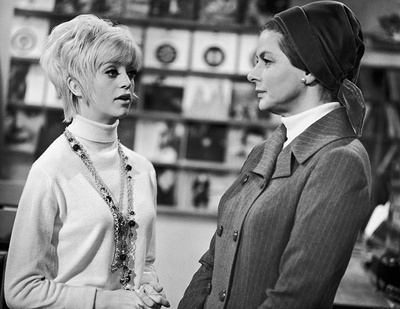 仙人掌花剧照的剧照