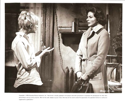 仙人掌花剧照的剧照