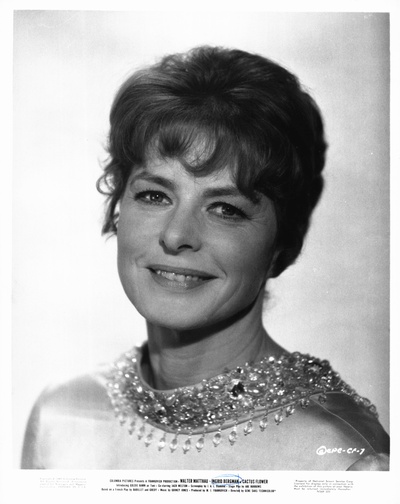 仙人掌花剧照的剧照