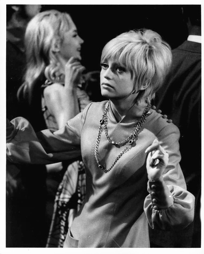 仙人掌花剧照的剧照