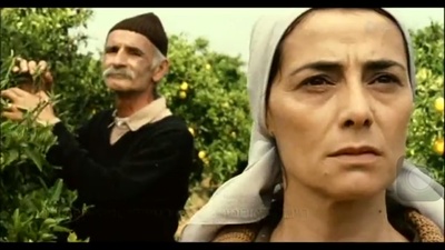 柠檬树剧照的剧照