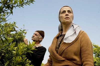 柠檬树剧照的剧照