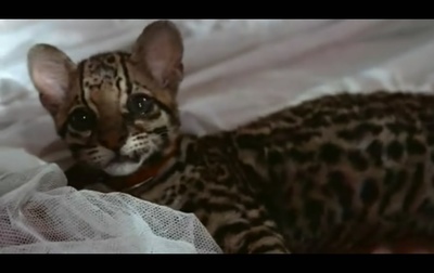 陆上行舟剧照的剧照