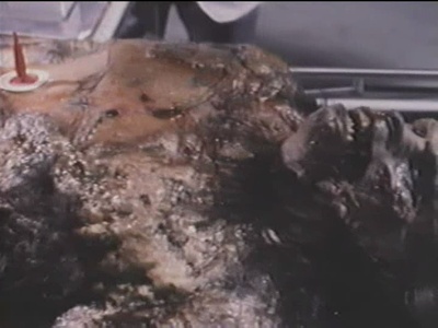 铁血人狼剧照的剧照