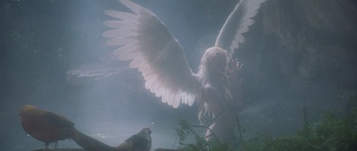 天使在人间剧照的剧照