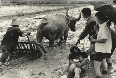 青春祭剧照的剧照