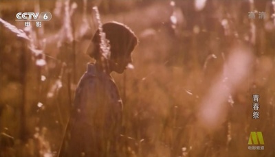 青春祭剧照的剧照