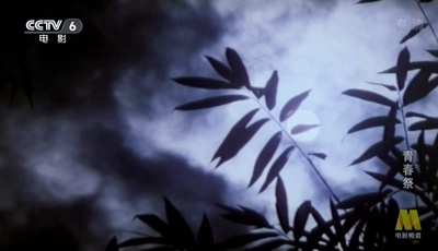 青春祭剧照的剧照