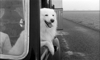 悠悠剧照的剧照