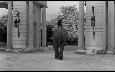 悠悠剧照的剧照