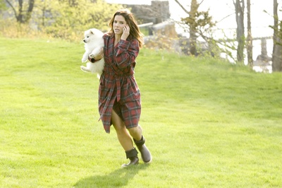 假结婚剧照的剧照