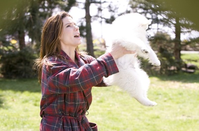 假结婚剧照的剧照