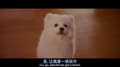 假结婚剧照的剧照