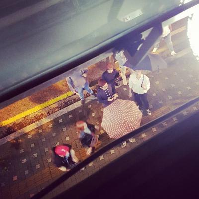 奶酪陷阱剧照的剧照