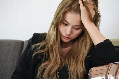 奶酪陷阱剧照的剧照