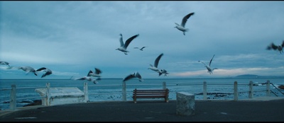 好友请求剧照的剧照