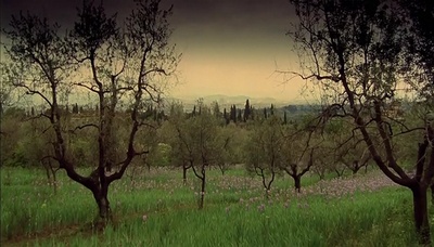 看得见风景的房间剧照的剧照