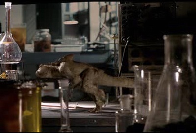 食人鱼剧照的剧照