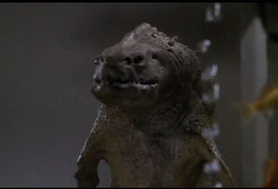 食人鱼剧照的剧照