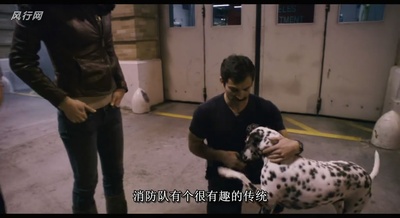 隔离区剧照的剧照