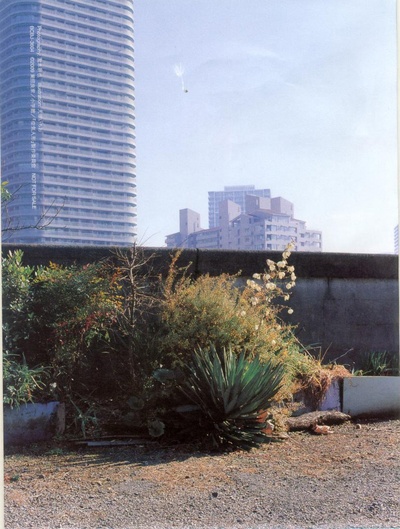 空气人偶剧照的剧照