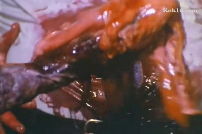 毒魔复仇剧照的剧照