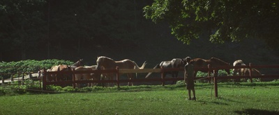 只杀陌生人剧照的剧照