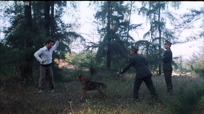 一夜富贵剧照的剧照