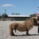 蠢蛋搞怪秀2剧照