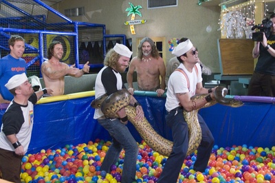 蠢蛋搞怪秀2剧照的剧照