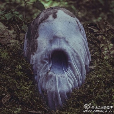 心理罪之城市之光剧照的剧照