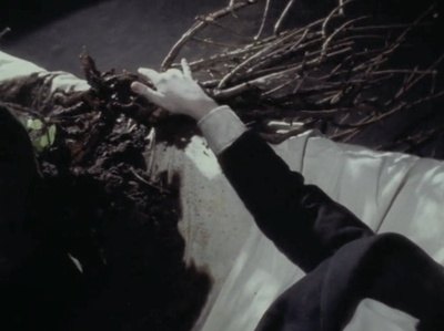 大卫林奇短片集剧照的剧照